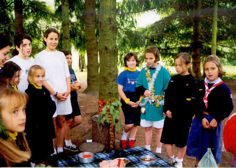 Cc1998-7