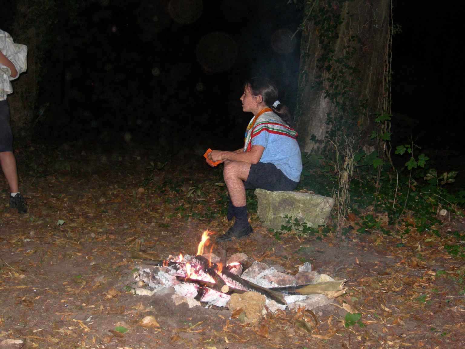 cc2006 007