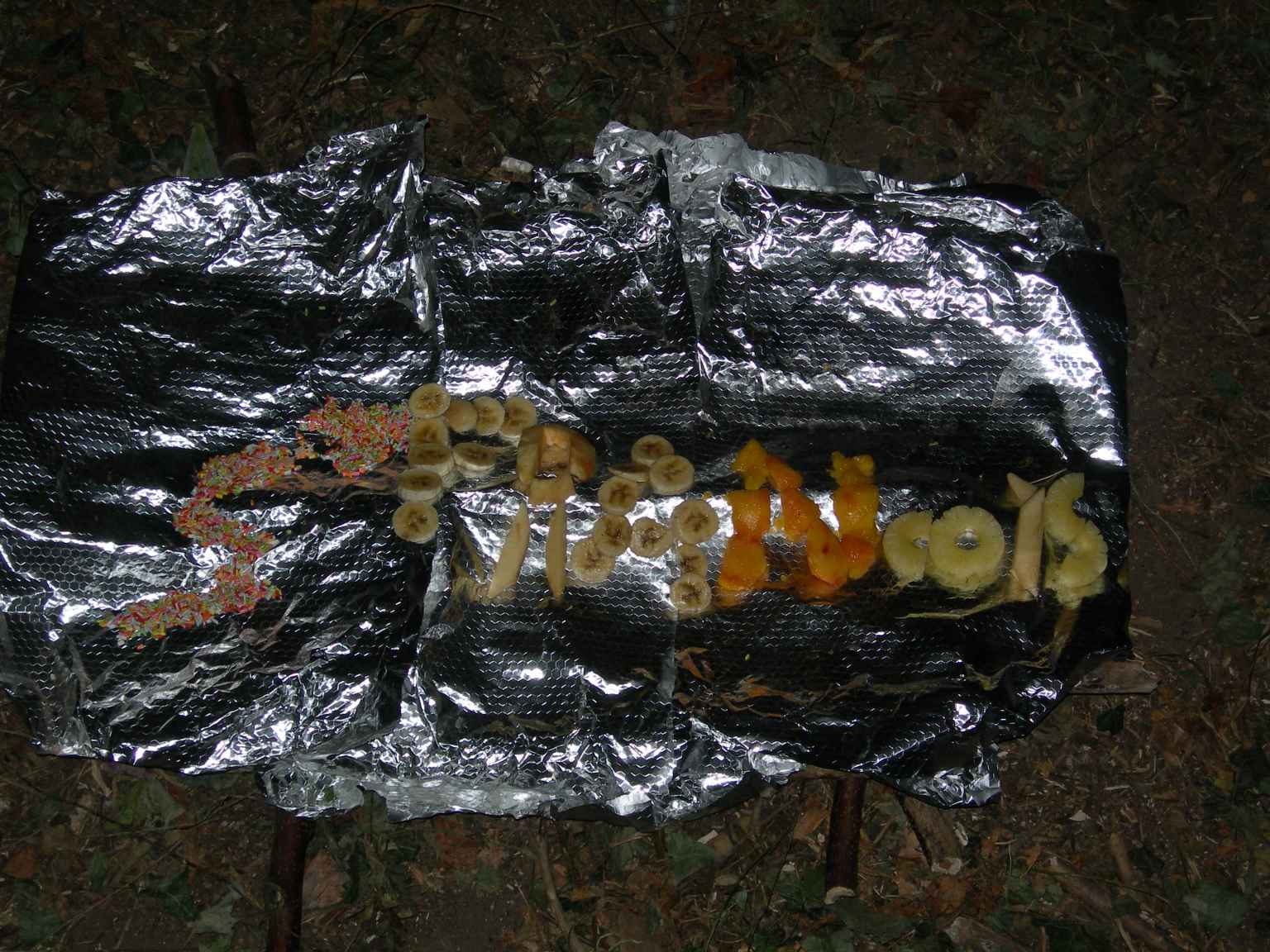 cc2006 051