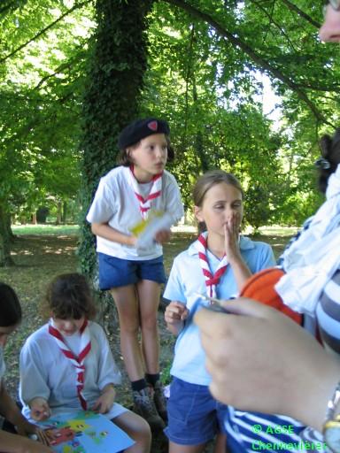 cc 2009 032