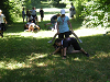 Cliquez ici pour voir l'image (cc_2010_067.jpg)