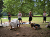Cliquez ici pour voir l'image (cc_2010_110.jpg)