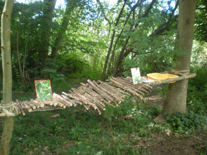 cc 2010 217