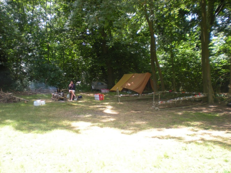 cc 2010 224