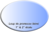 wp08349a6c.png