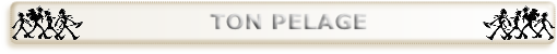wp2bc5fd4c.png